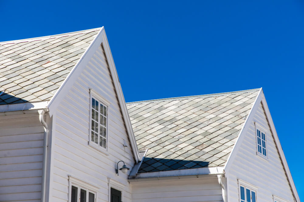 Painting and Roof Repair Services